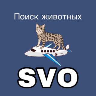ЗоопоискSVO✈️- потеряшки в аэропорту Шереметьево