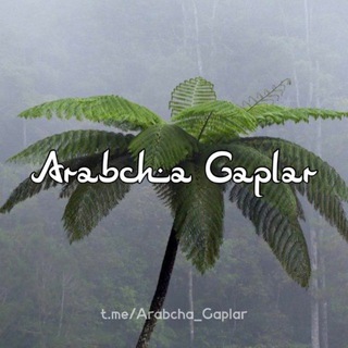 Arabcha Gaplar🇸🇦