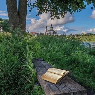 Господи помилуй 🕊️