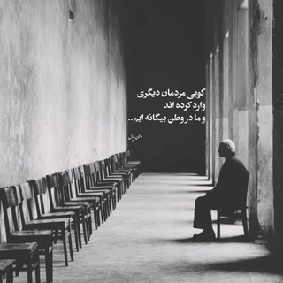 مجتبی