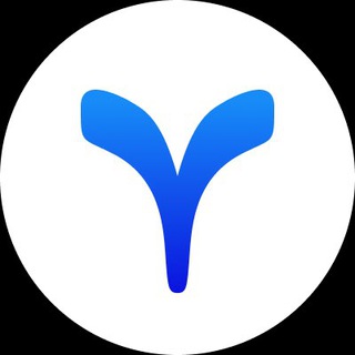 GYSR Official