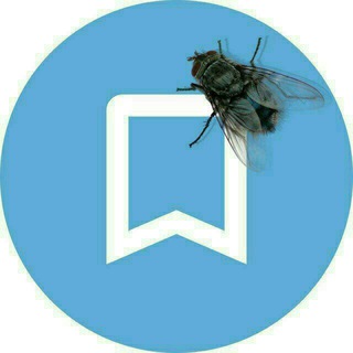 Coder 个 Reaksiya