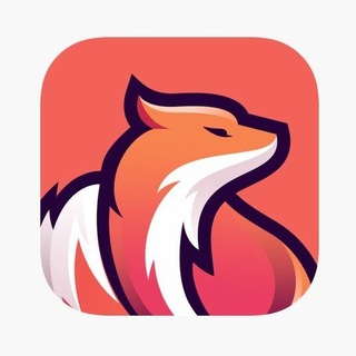 FoxyBot VPN