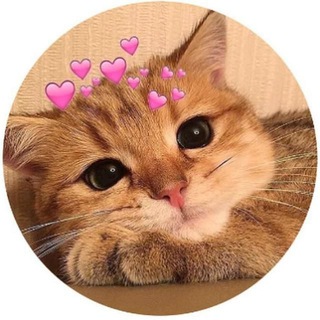 ◄❥‌‌❥ ꯭⃝⃪⃕🦚꯭⟵᷽᷍𝗞꯭ɪ꯭ᴋ꯭ᴋ꯭ɪ꯭ʀ꯭ɪ꯭ 𝗠꯭ᴜ꯭ᴋ꯭ᴋ꯭ɪ꯭ʀ꯭ɪ꯭˚‌‌‌‌◡‌⃝🐬꯭᪳ ‌⃪꯭𔘓꯭❁‌‌꯭❍꯭•:➛