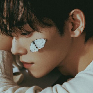 my Dae light´-﹏-`letters