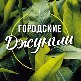 Городские Джунгли // Комнатные растения // Urban-Jungle.Shop