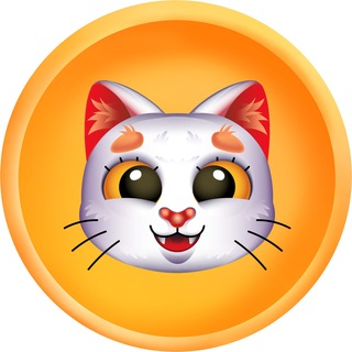 Tomo Cat Chat