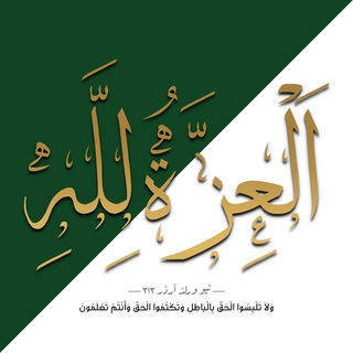 نیو ورلڈ آرڈر 313