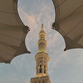 أم جميلة