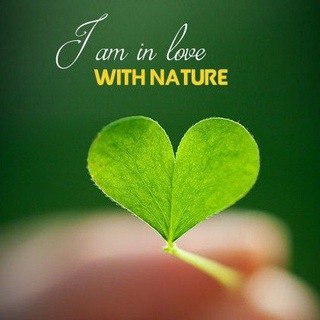 🌿 LOVE 💝