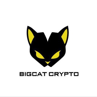 Big Cat Crypto