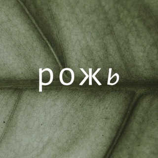 Рожь кофейня