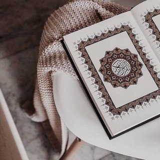 تٌبْآدِلُآتٌ مع محٍآفَظًةّ 🕊️.