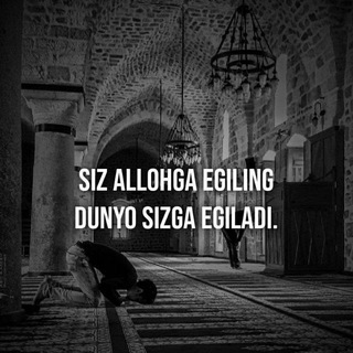 Admin