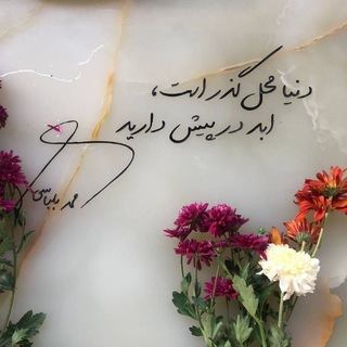 Fatemeh Rezaei