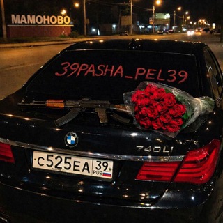 39Pasha_Pel39