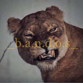 🥷_b_a_n_d_o_s_🐅
