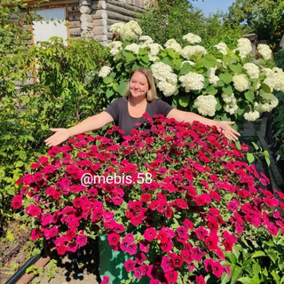 Анна Мебис