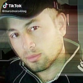 NOROV MUROT