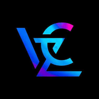 VZC Insights