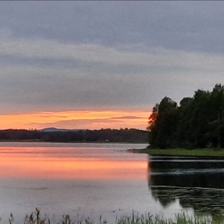 Leben_in_Schweden _Chat + Immobilien&Jobsuche