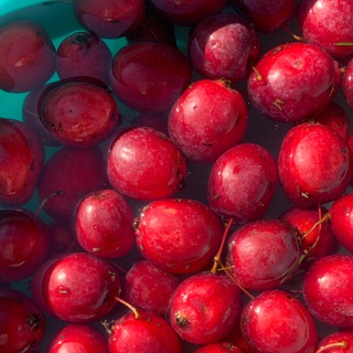 Katushka 🍎