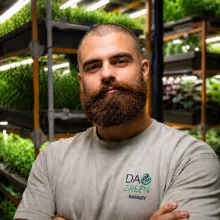 Никита Махаев | Daogreen
