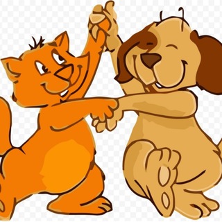 ШАНС❤️ Кошки Собаки 🐶🐱 Минск