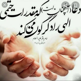 سید فاطمه