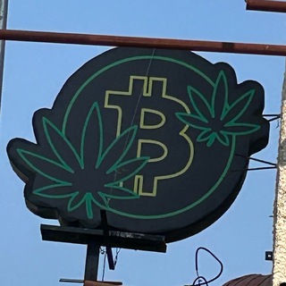 Auditor_bit