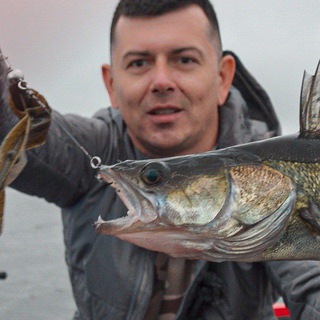 TOPFISHER CHAT