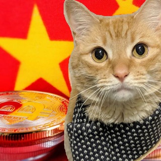 Chinese Cat Party (CCP)