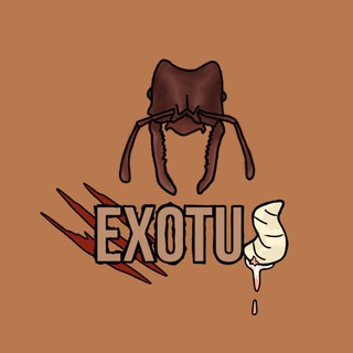 Проект Exotus chat