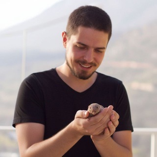 Andrei