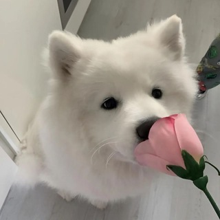 Someone