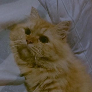 takian