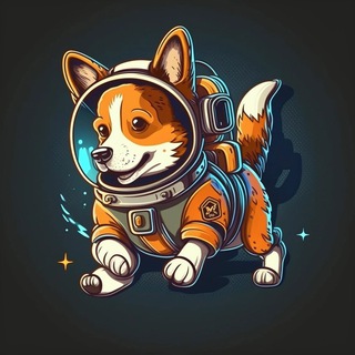 Laika Inu BSC