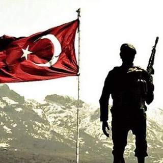 eвeđı тυяαиłαя
