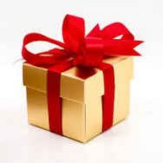 🌲GIFT FEST 2025🌲