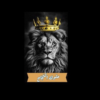 تواصل ملوك النجاح