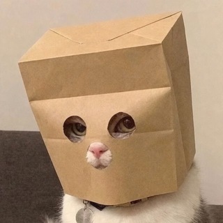 ANONYMOUS CAT | ANONYMOUSCAT