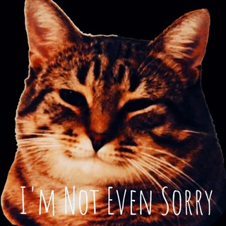 I'm Not Even Sorry / Безсоромники
