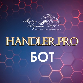Бот Handler.pro 🏆