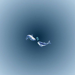 Sevda_team