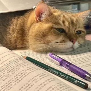 Mushukcham😺🙃