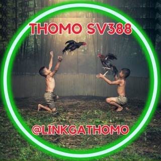 Đá gà trực tiếp VM38