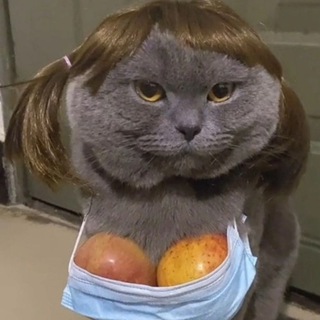 Кирилл