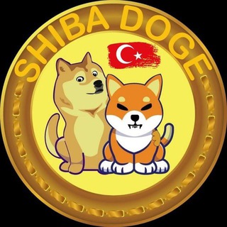 SHIBADOGE/BURN TÜRKİYE 🇹🇷