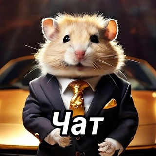 Chat M4