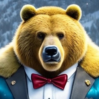 Mr Bear